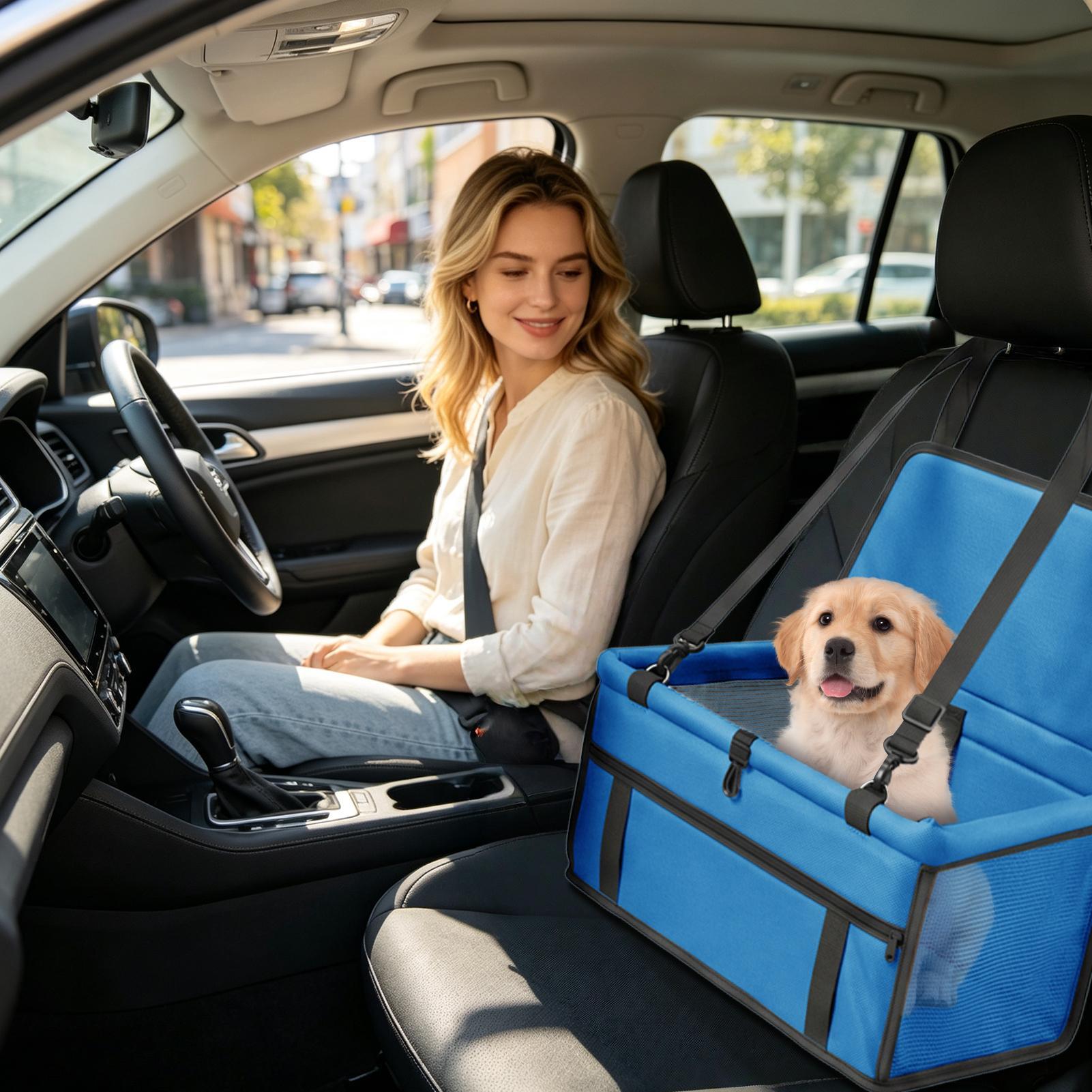 Seggiolino auto per cani di pi - Travel Accessories Under 10 recensione e prezzo