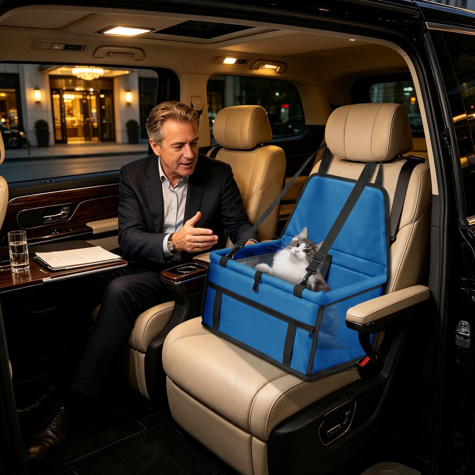 Seggiolino Auto per Cani Porta - Travel Accessories Under 10 recensione e prezzo
