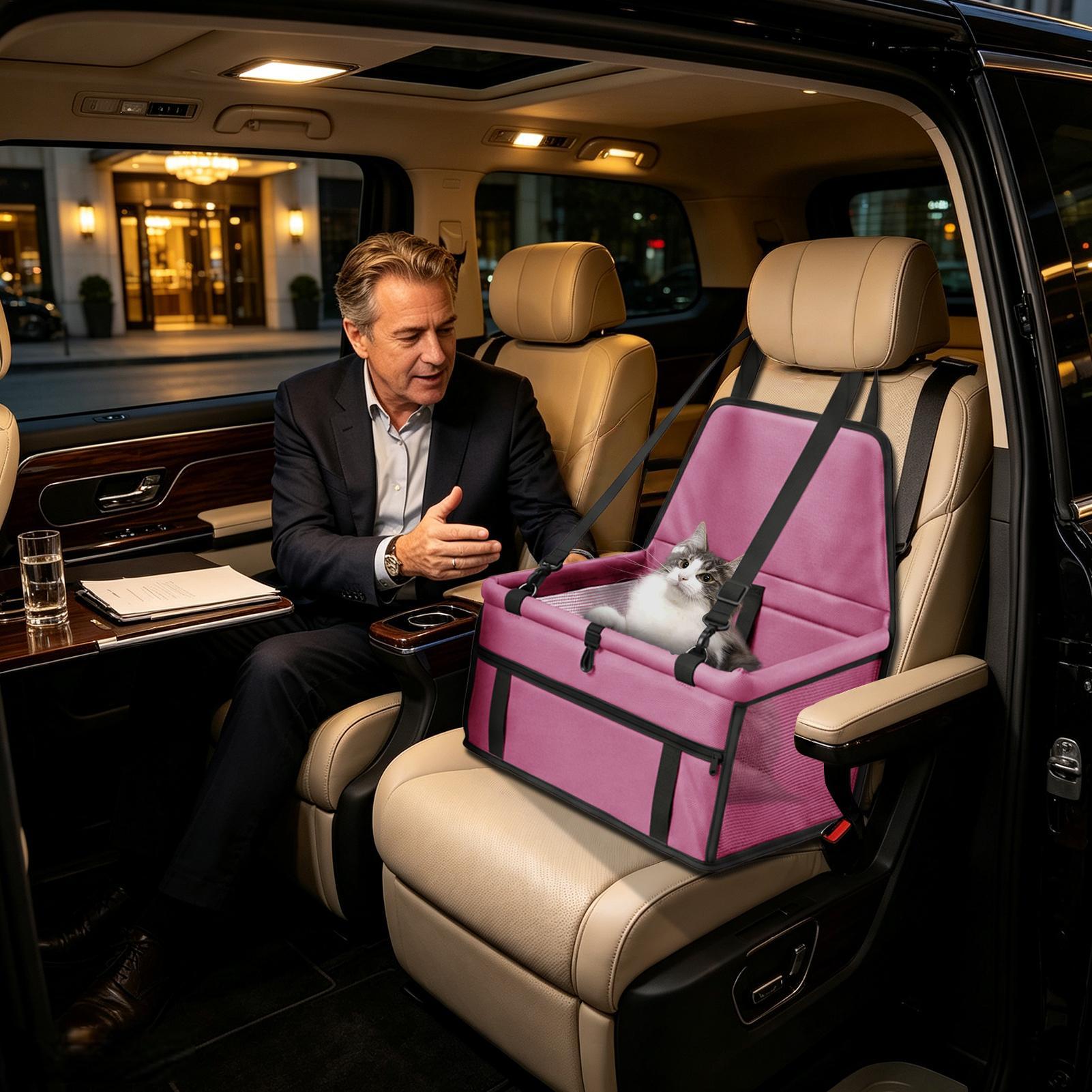 Seggiolino auto per cani, port - Travel Accessories Under 10 recensione e prezzo